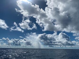 <b>WhatsApp Image 2025-12-27 at 12.55.09 (2)</b>